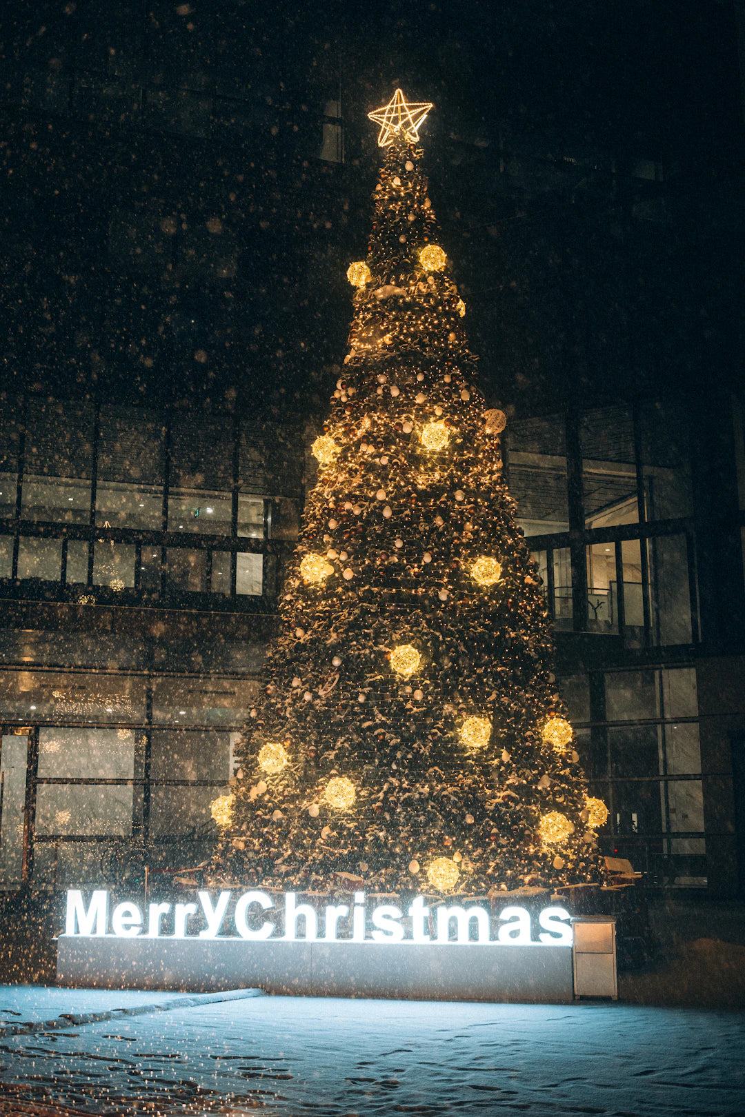 Cadouri Crăciun cu arome rafinate pentru toți